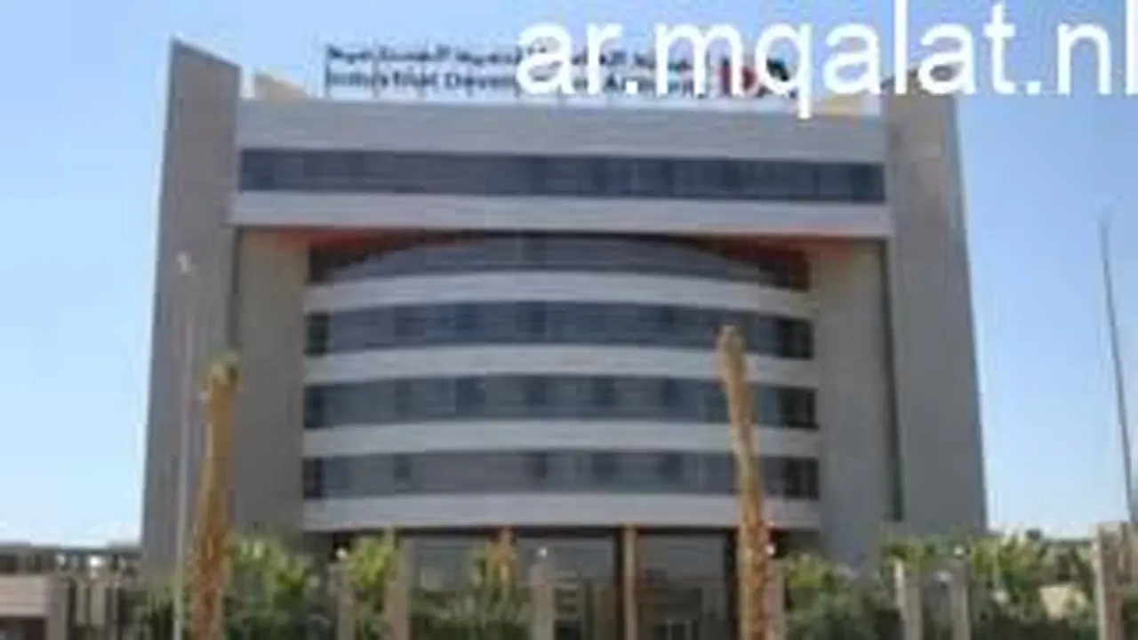 التنمية الصناعية تطرح 31 وحدة إنتاجية بمدينة الجلود وتنتهي التقديمات 25 مايو